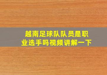 越南足球队队员是职业选手吗视频讲解一下