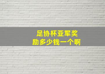 足协杯亚军奖励多少钱一个啊