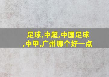 足球,中超,中国足球,中甲,广州哪个好一点