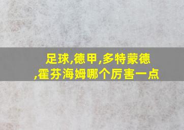 足球,德甲,多特蒙德,霍芬海姆哪个厉害一点