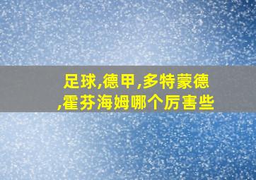 足球,德甲,多特蒙德,霍芬海姆哪个厉害些