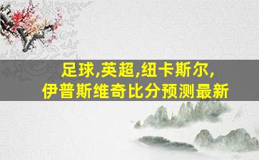 足球,英超,纽卡斯尔,伊普斯维奇比分预测最新