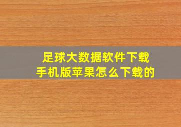 足球大数据软件下载手机版苹果怎么下载的