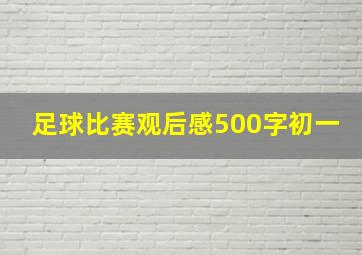 足球比赛观后感500字初一