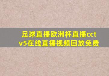 足球直播欧洲杯直播cctv5在线直播视频回放免费