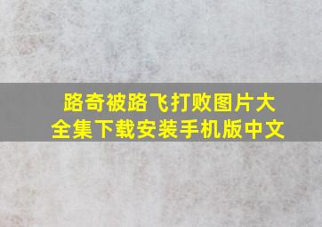 路奇被路飞打败图片大全集下载安装手机版中文