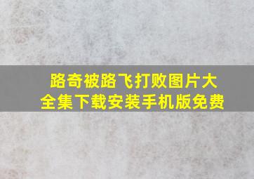 路奇被路飞打败图片大全集下载安装手机版免费