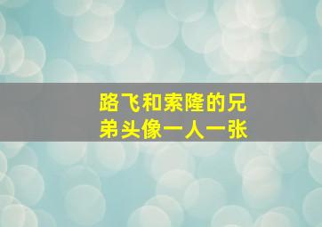 路飞和索隆的兄弟头像一人一张