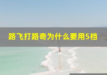 路飞打路奇为什么要用5档