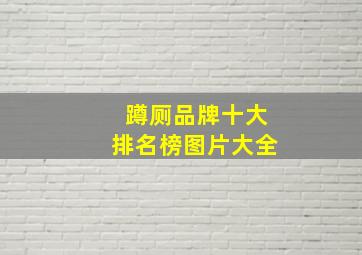 蹲厕品牌十大排名榜图片大全