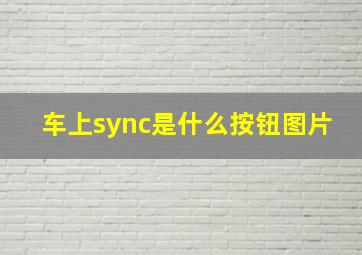 车上sync是什么按钮图片