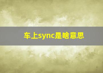 车上sync是啥意思