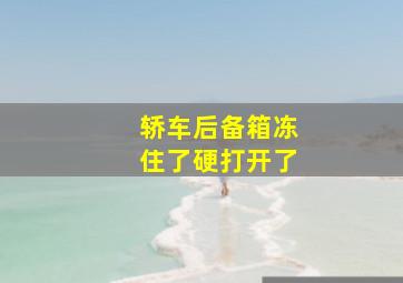 轿车后备箱冻住了硬打开了