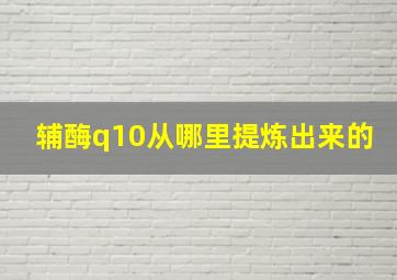 辅酶q10从哪里提炼出来的