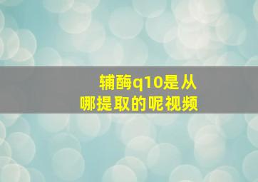 辅酶q10是从哪提取的呢视频