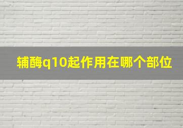 辅酶q10起作用在哪个部位