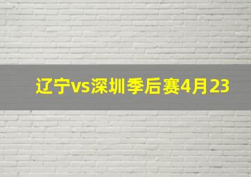 辽宁vs深圳季后赛4月23