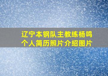 辽宁本钢队主教练杨鸣个人简历照片介绍图片