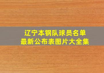 辽宁本钢队球员名单最新公布表图片大全集