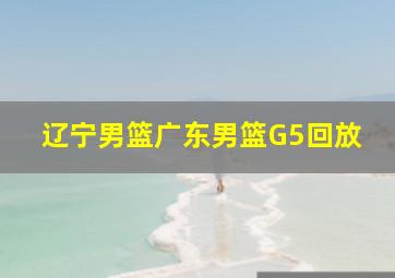 辽宁男篮广东男篮G5回放