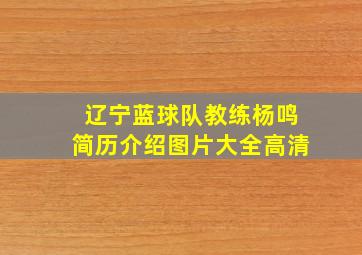 辽宁蓝球队教练杨鸣简历介绍图片大全高清