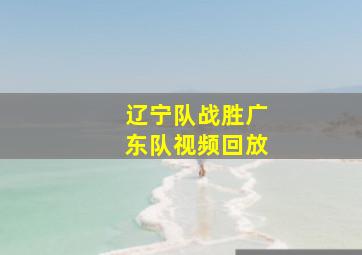 辽宁队战胜广东队视频回放