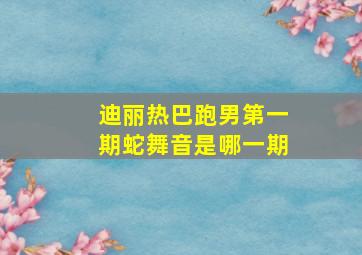 迪丽热巴跑男第一期蛇舞音是哪一期