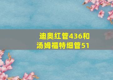 迪奥红管436和汤姆福特细管51