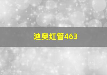 迪奥红管463