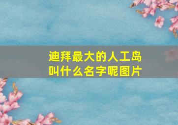 迪拜最大的人工岛叫什么名字呢图片