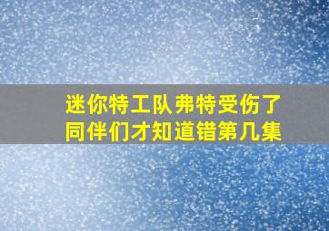 迷你特工队弗特受伤了同伴们才知道错第几集