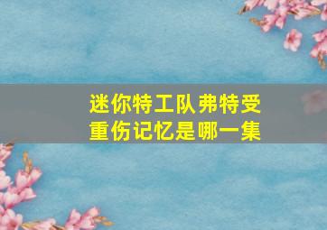 迷你特工队弗特受重伤记忆是哪一集