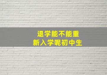 退学能不能重新入学呢初中生