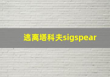 逃离塔科夫sigspear