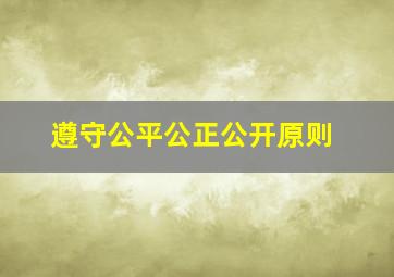 遵守公平公正公开原则