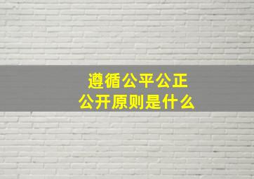 遵循公平公正公开原则是什么