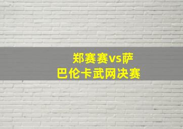 郑赛赛vs萨巴伦卡武网决赛