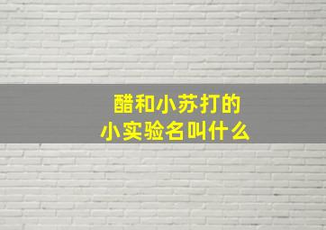 醋和小苏打的小实验名叫什么