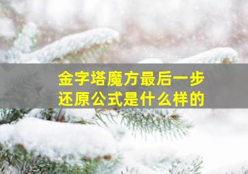 金字塔魔方最后一步还原公式是什么样的