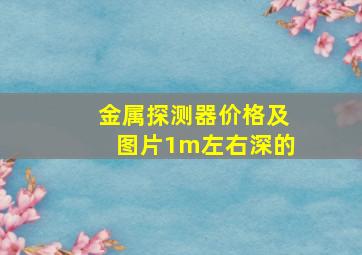 金属探测器价格及图片1m左右深的