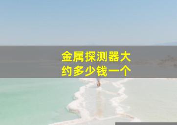 金属探测器大约多少钱一个