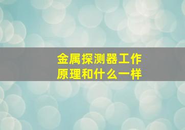 金属探测器工作原理和什么一样