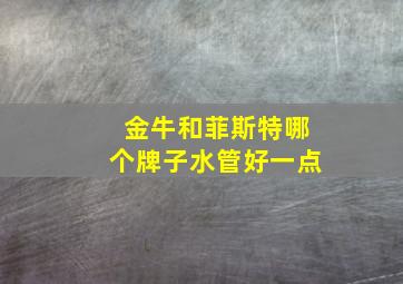 金牛和菲斯特哪个牌子水管好一点