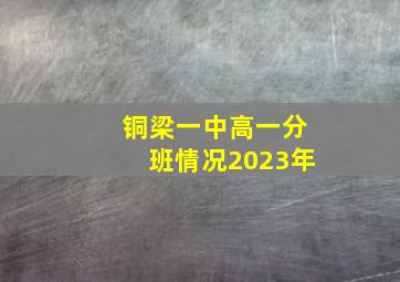 铜梁一中高一分班情况2023年