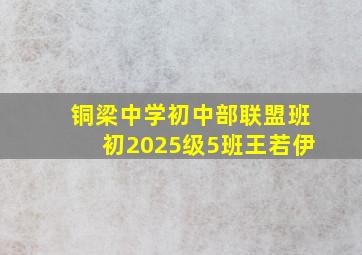 铜梁中学初中部联盟班初2025级5班王若伊