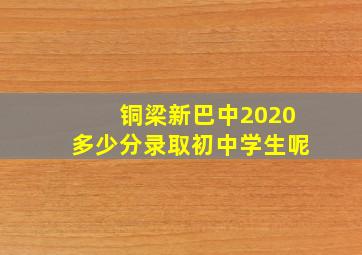 铜梁新巴中2020多少分录取初中学生呢