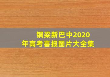 铜梁新巴中2020年高考喜报图片大全集