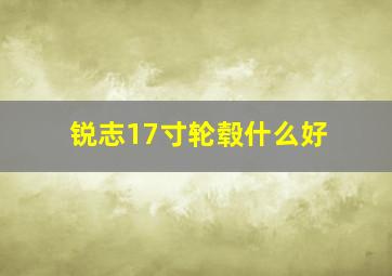 锐志17寸轮毂什么好