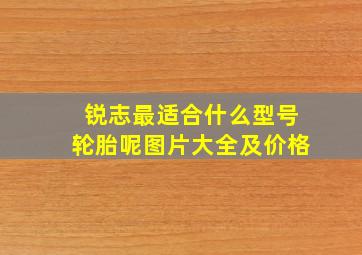 锐志最适合什么型号轮胎呢图片大全及价格