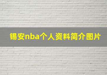 锡安nba个人资料简介图片